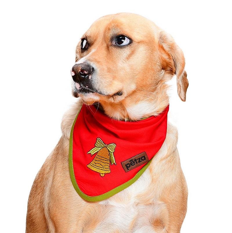 Köpek Bandana / Navin