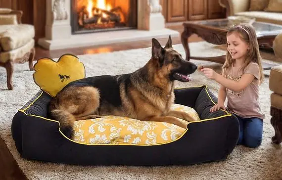 Köpeğim için doğru yatağı nasıl seçerim