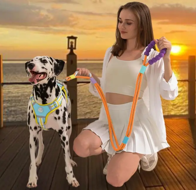 Petza Eller Serbest Köpek Gezdirme Tasması - Damp