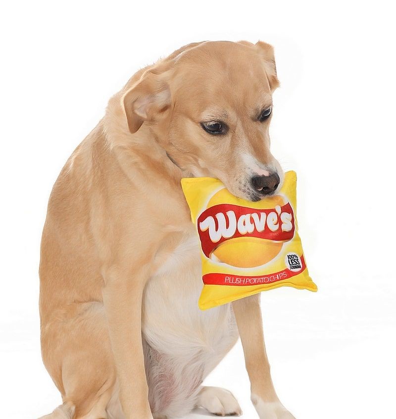 Köpek Oyuncak Wave's Chips