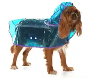 Köpek