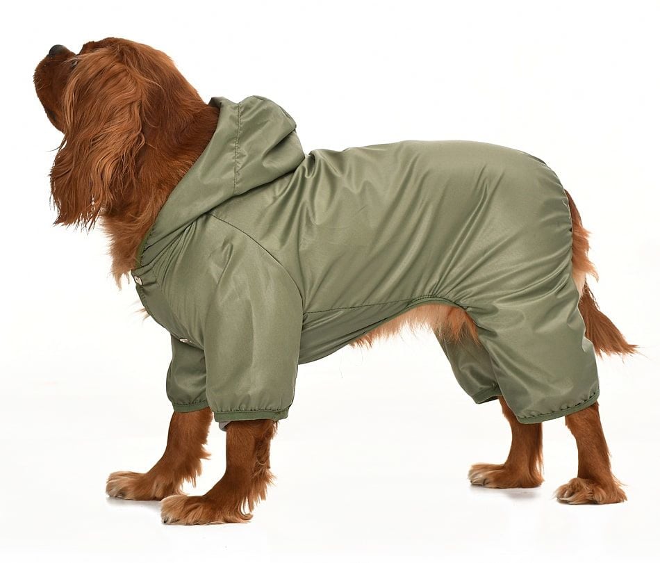 Küçük ve Orta Irk Köpek Paçalı Mont Hurit Yeşil
