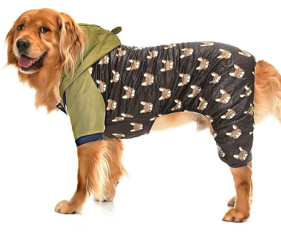 Büyük Irk Paçalı Köpek Mont - Duma Yeşil