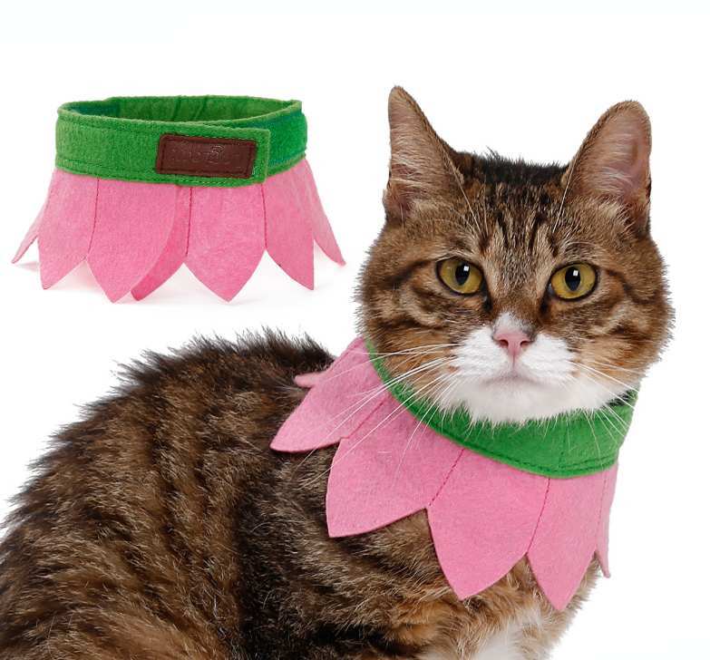 Kedi Lastikli Boyunluk Pinky