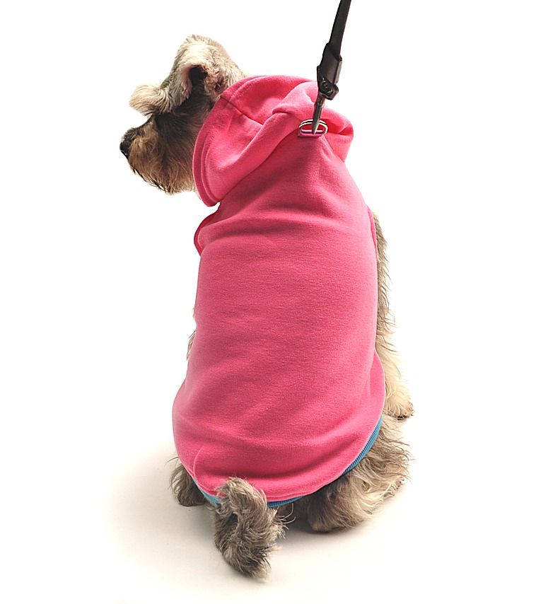 Sweatshirt Köpek Tasma - Flos