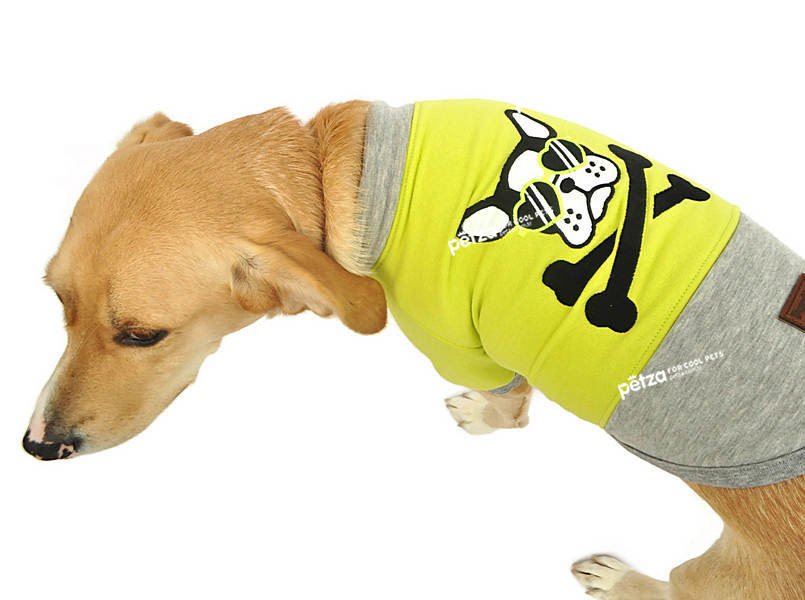 Küçük ve Orta Irk Köpek Sweatshirt - Embera Sarı - Köpek Kıyafetleri