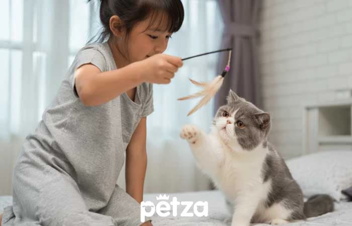 Kediler Sahibini Özler Mi?