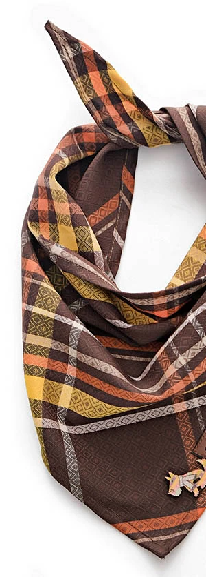 Köpek Bandana / Wasp