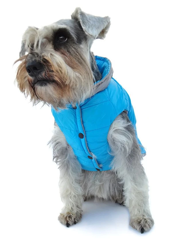 Köpek Küçük ve Orta Irk Mont Çift Taraflı Bodil Mavi Gri