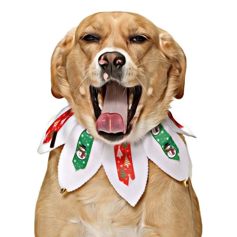 Köpek Lastikli Yılbaşı Yakalık Hula