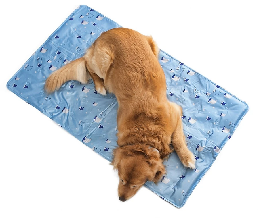 Köpek Serinletici - Soğutucu Yatak Large 60x90 cm