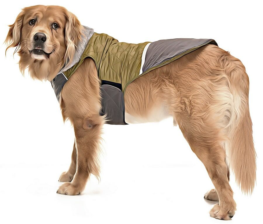 Orta ve Büyük Irk Köpek Mont - Hidra