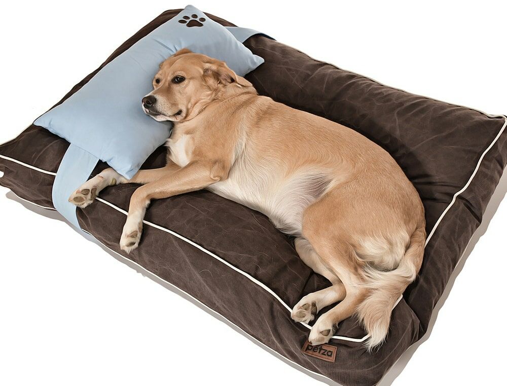 Köpek Yatağı ve Yastık Takımı - Narvik Large