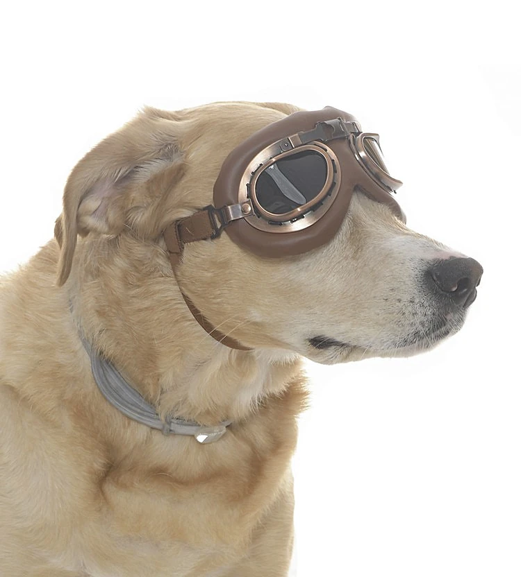 Orta ve Büyük Köpek Güneş Gözlüğü Sakari