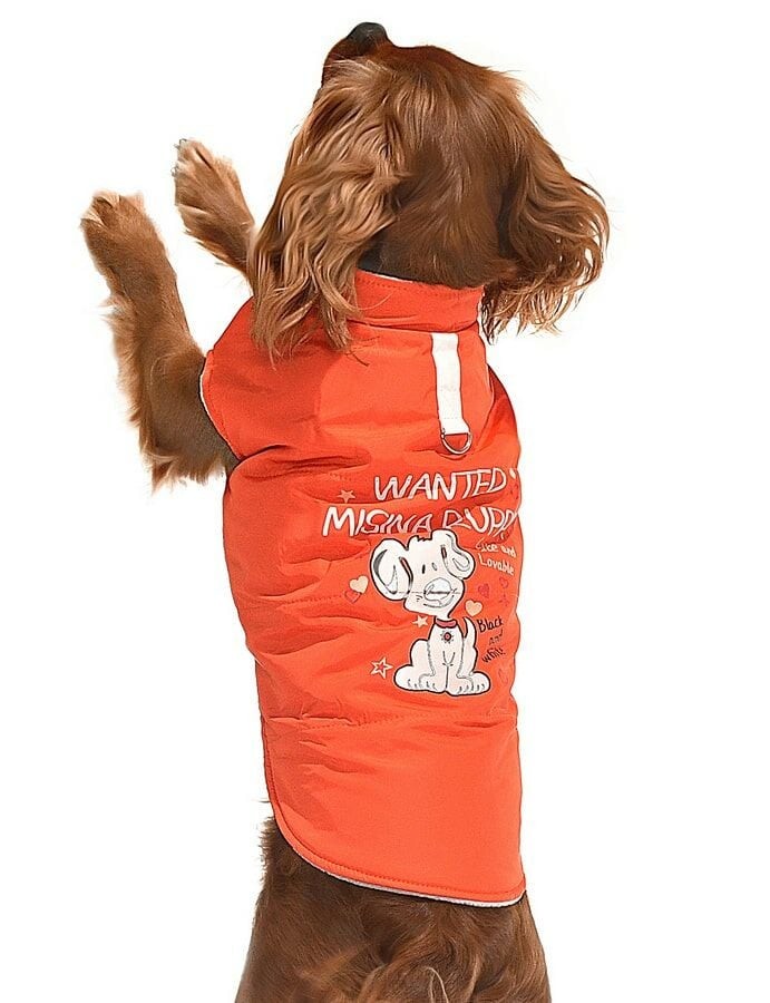 Küçük ve Orta Irk Köpek Mont - Sambo