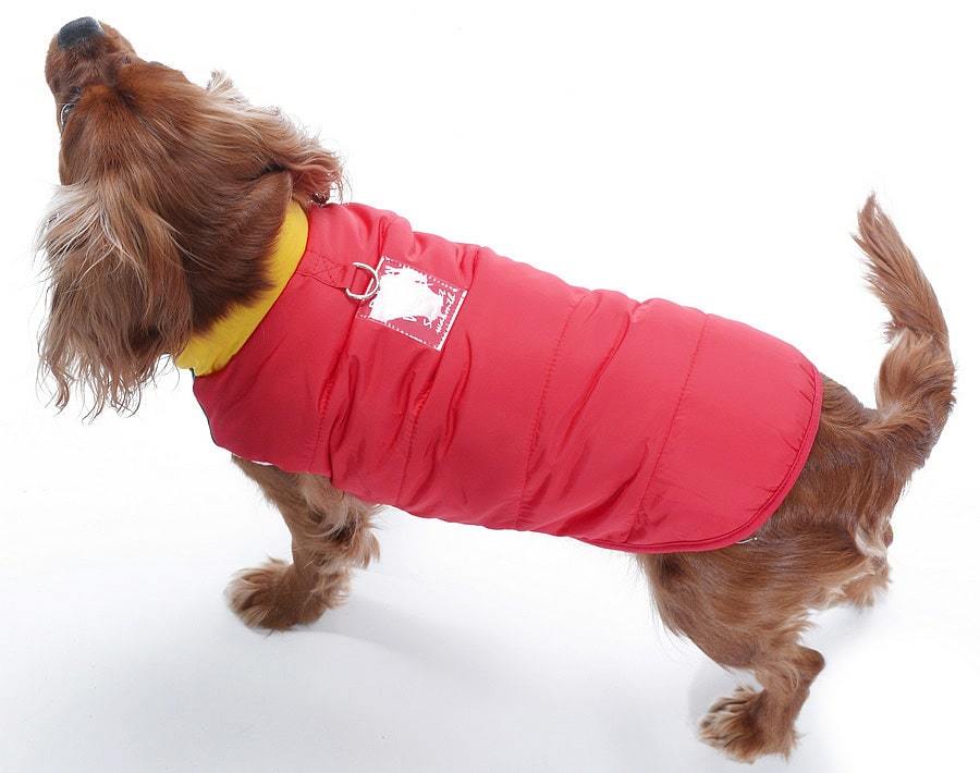 Küçük ve Orta Irk Köpek Mont Murpota Kırmızı