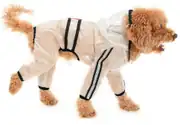 Köpek