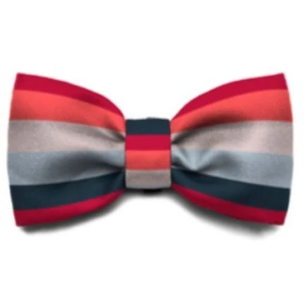 Zee.Dog Bow Tie Oregon Köpek Papyonu Large