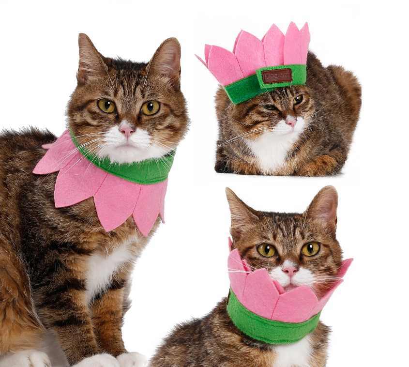 Kedi Lastikli Boyunluk Pinky