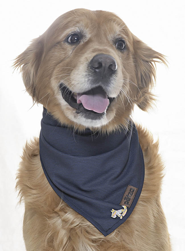 Köpek Bandana / Nargle