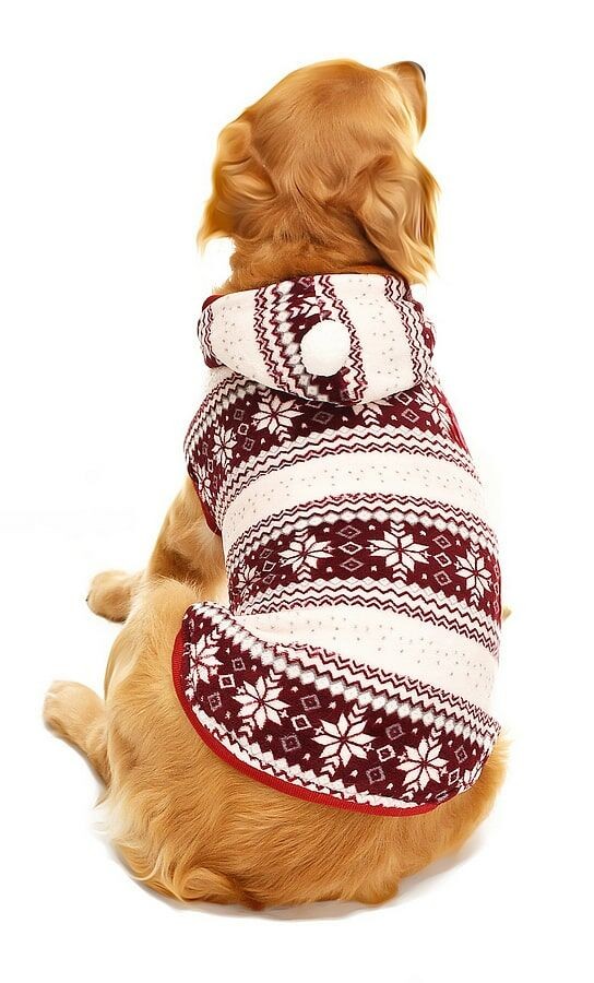 Köpek Büyük Irk Sweater Ponponlu Polar Bordo