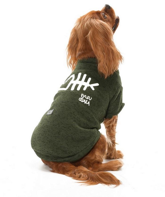 Küçük ve Orta Irk Köpek Kazak - Lalit Yeşil