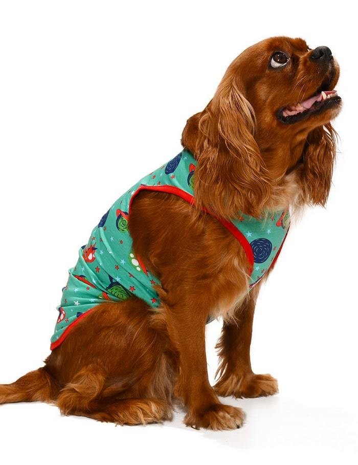 Küçük ve Orta Irk Köpek T-shirt Mari
