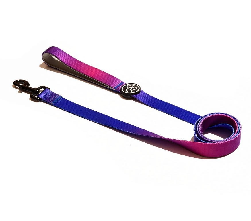 Köpek Gezdirme Tasması Jaxie