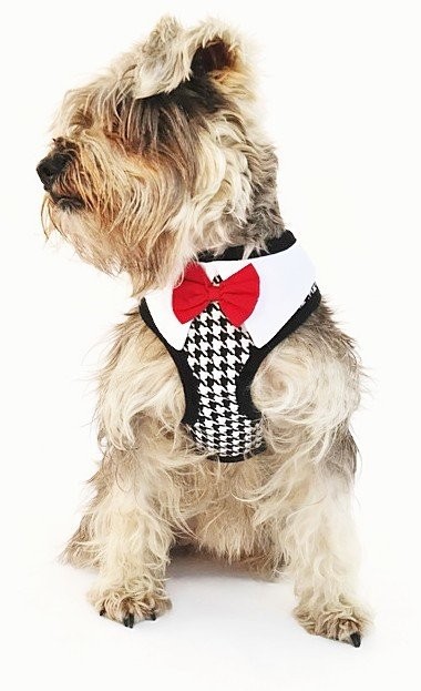 Groom Köpek Göğüs Tasması