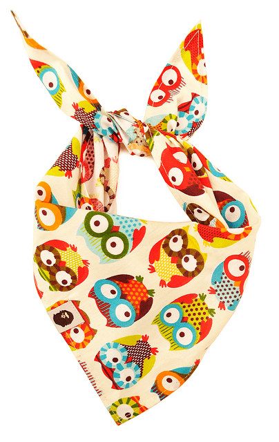 Köpek Bandana / Colorful Owl
