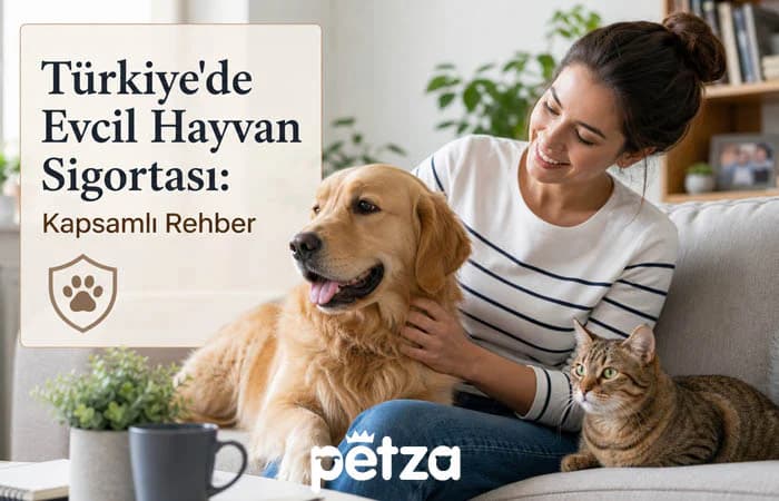 Türkiye'de Evcil Hayvan Sigortası