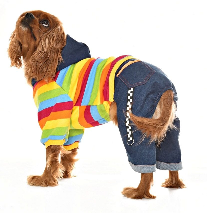 Köpek Tulumu - Rowan - Köpek Kıyafeti