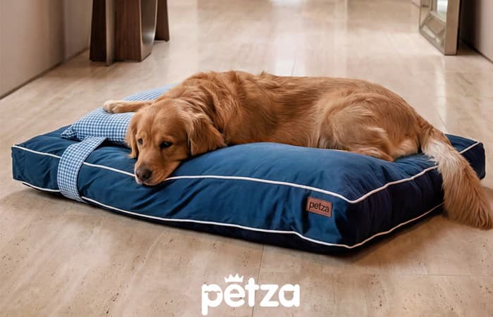 Keiko Büyük Irk Köpek Yatağı ve Yastık Takımı - Petza