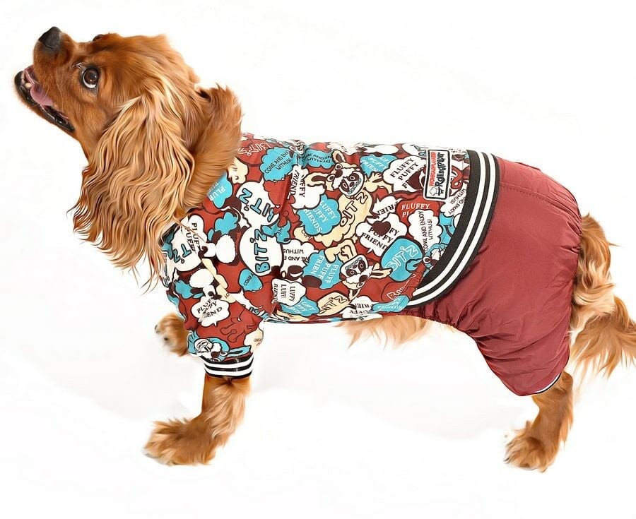 Küçük ve Orta Irk Köpek Paçalı Mont - Bado