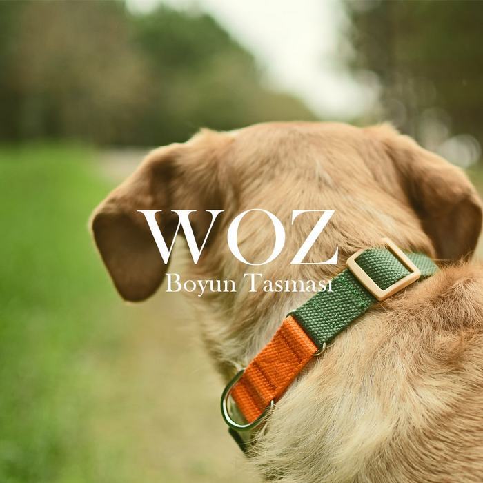 Köpek Boyun Tasması Woz