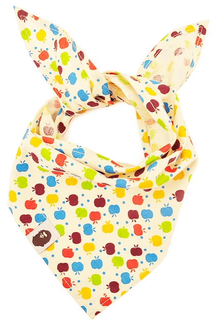 Köpek Bandana / Furud