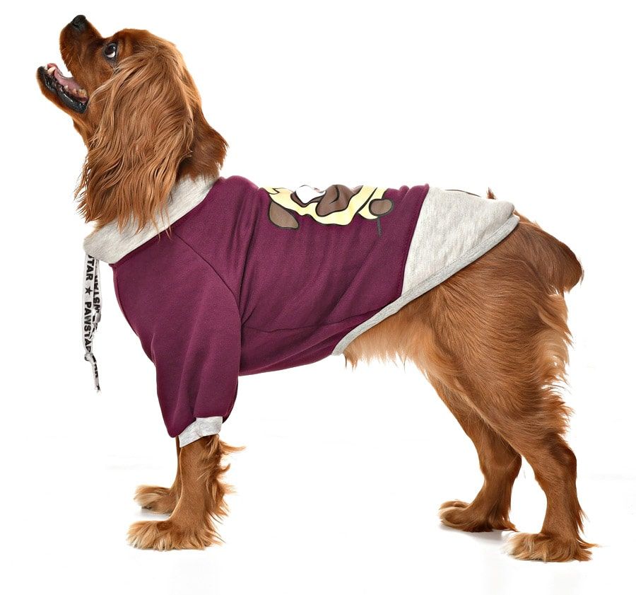 Küçük ve Orta Irk Köpek Sweatshirt - Ingo Mor - Köpek Kıyafeti