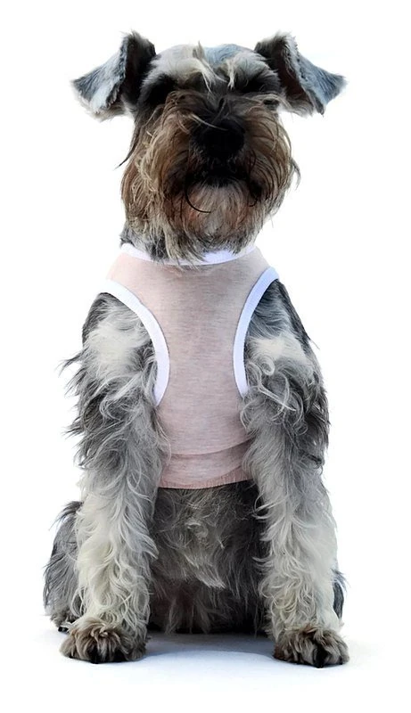 Köpek Küçük ve Orta Irk T-shirt Apple Pembe