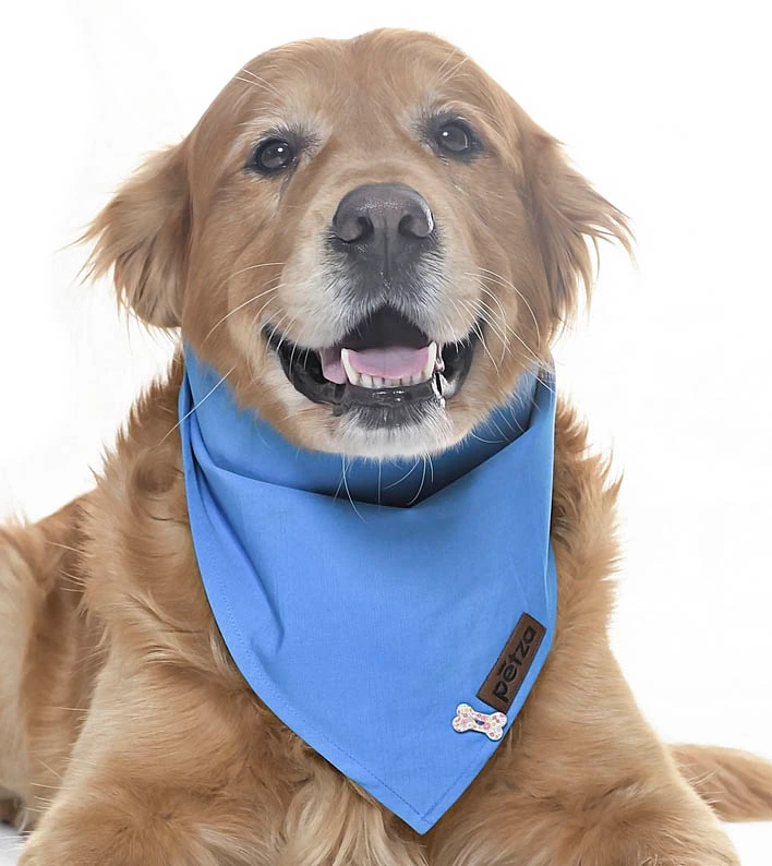 Köpek Bandana / Seer