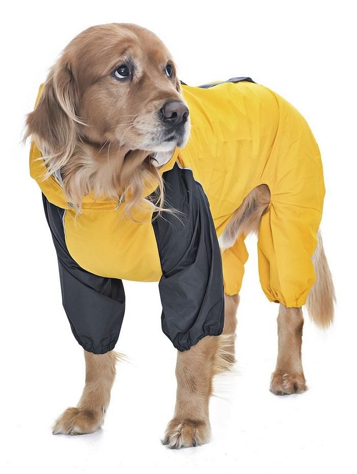 Orta ve Büyük Irk Köpek Paçalı Yağmurluk  - Grogu