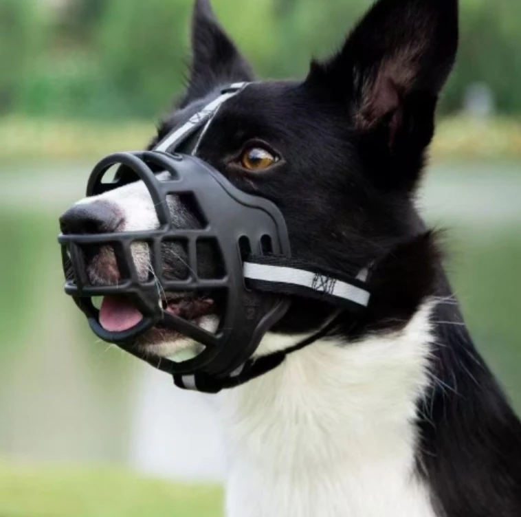 Köpek Ağızlık Taqtu  Ayarlanabilir