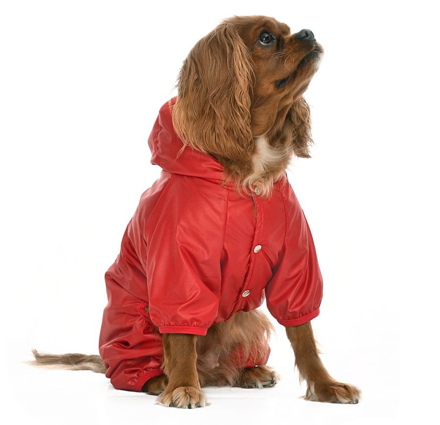 Küçük ve Orta Irk Köpek Paçalı Mont Hurit Kırmızı