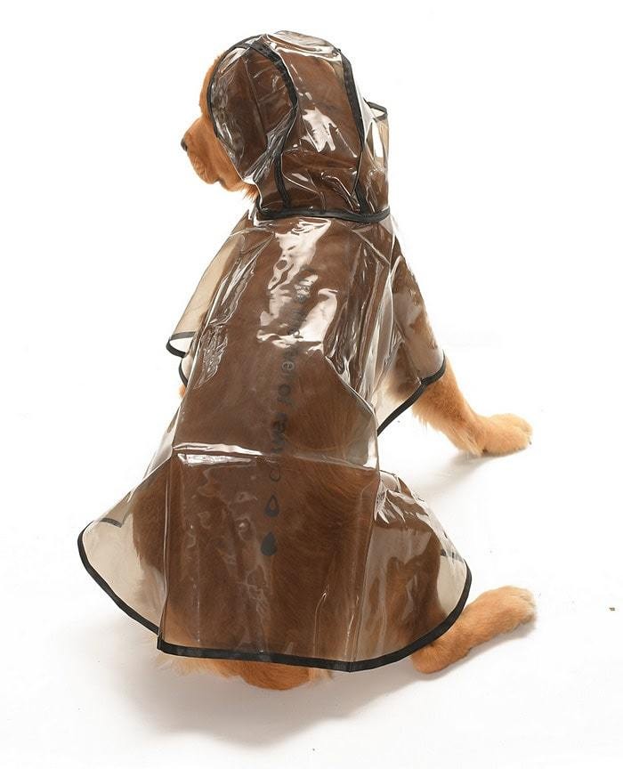 Köpek Büyük Irk Yağmurluk Otso Şeffaf Siyah