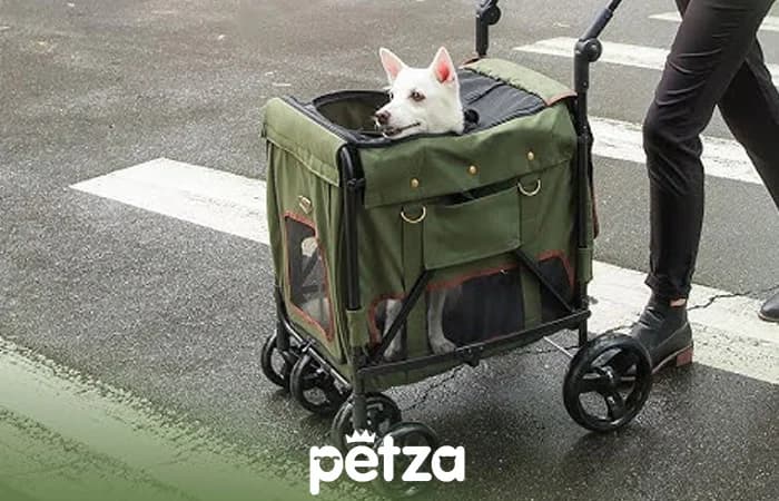 ibiyaya gentle pet wagon | kedi köpek arabası | Petza