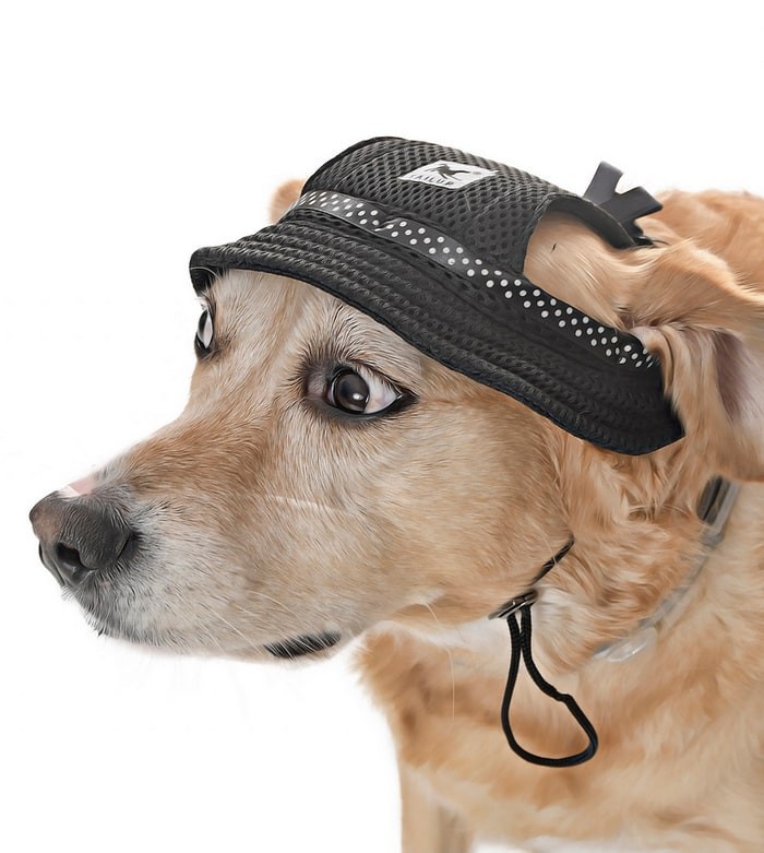 Küçük ve Orta Irk Köpekler için Şapka Meloni - Siyah