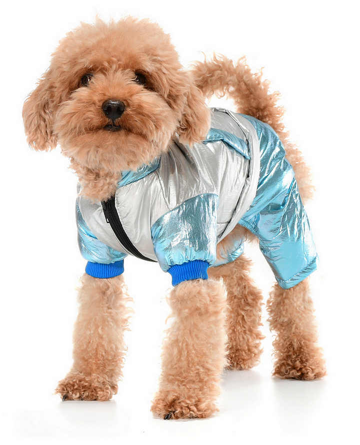 Küçük ve Orta Irk Köpek Paçalı Mont Magnor