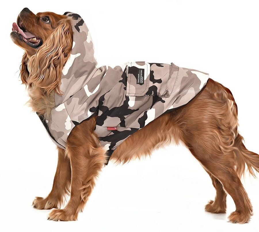 Küçük ve Orta Irk Köpek Mont - Sasel