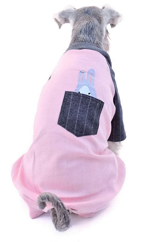 Köpek Küçük ve Orta Irk Tulum Gildi Pembe