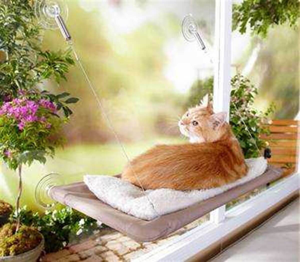 Sunny Seat Cama Yapışan Kedi Yatağı