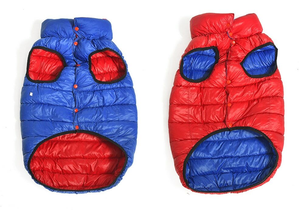 Orta ve Büyük Irk Çift Taraflı Köpek Mont - Moke Kırmızı & Mavi